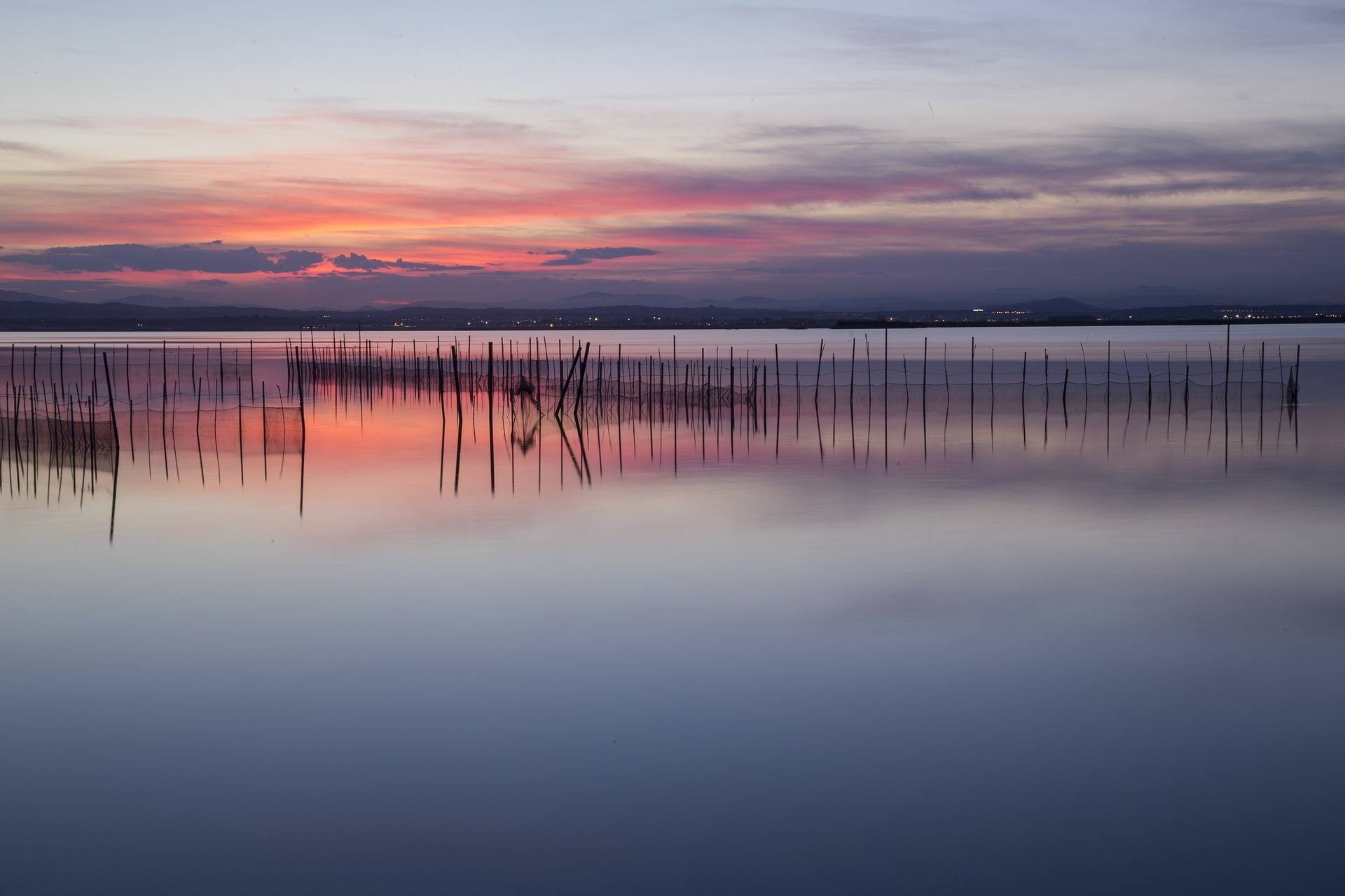 Albufera